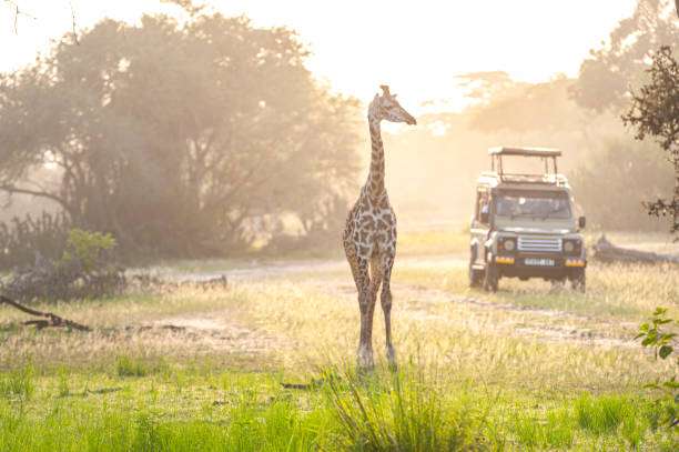 5 Days Selous & Mikumi wildlife safaris