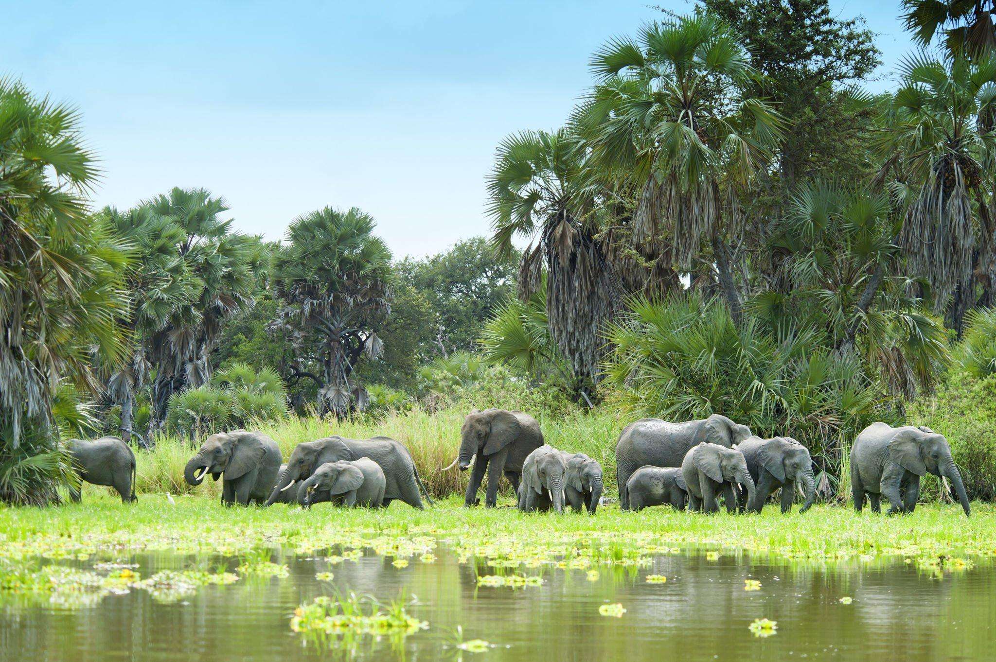 2DAYS SELOUS (NYERERE NATIONAL PARK)